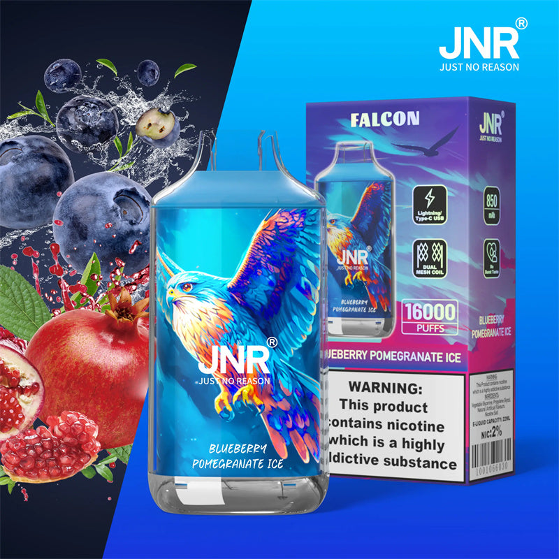 JNR 16K Vape Jetable Blueberry Pomegranate Ice 5% Nicotine