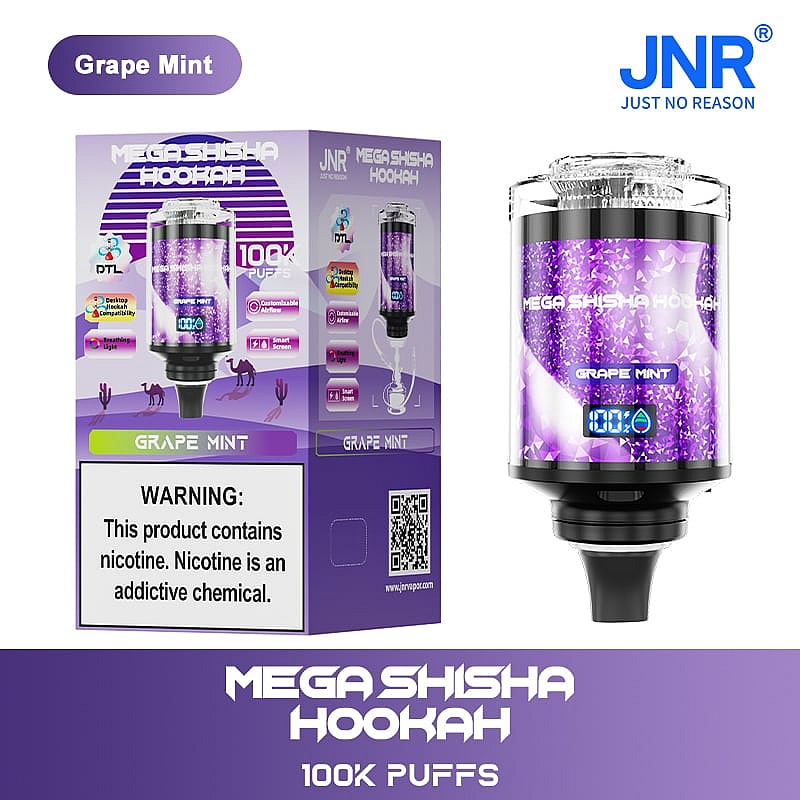 Puff JNR Vape 100K Puffs Grape Mint Goût Cigarette électronique Jetable
