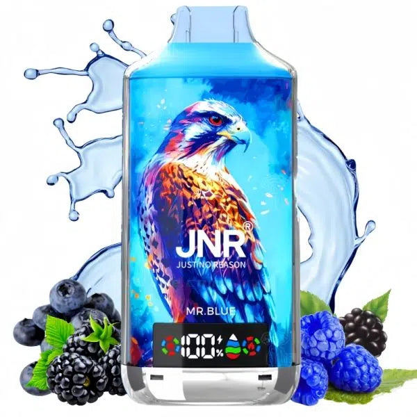 JNR Falcon X 18000 Puffs 18K Bouffees Mr. Blue Gout de Puff Day Vape Jetable
