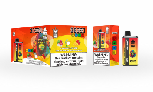 Rechargeable Nicotine Cigarette électronique Jetable Puff 30K Bouffees Double Flavors