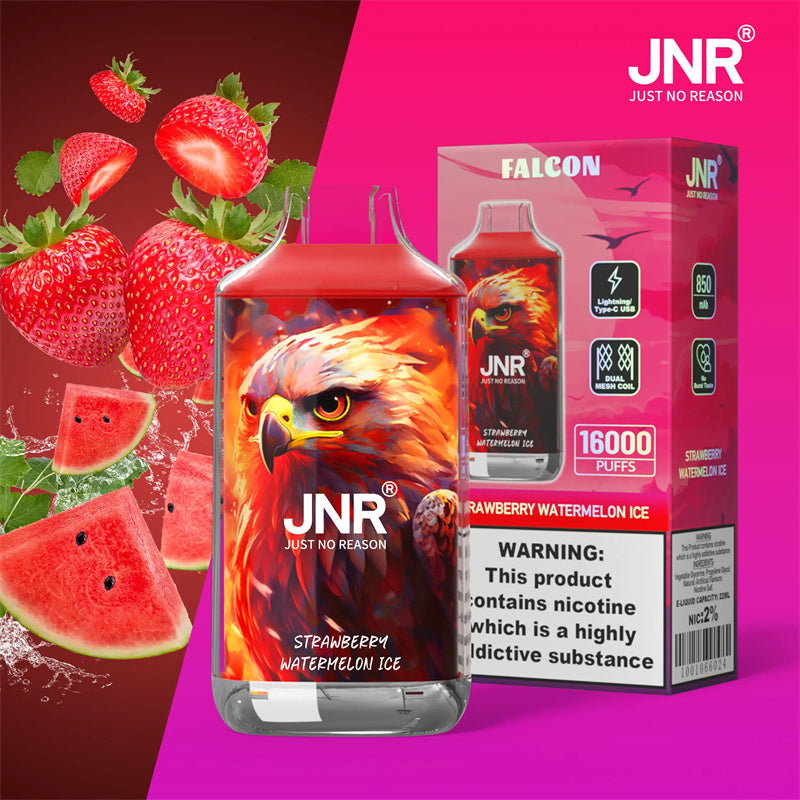 JNR Vape 16000 Puffs Cigarette électronique Rechargeable Strawberry Watermelon Ice