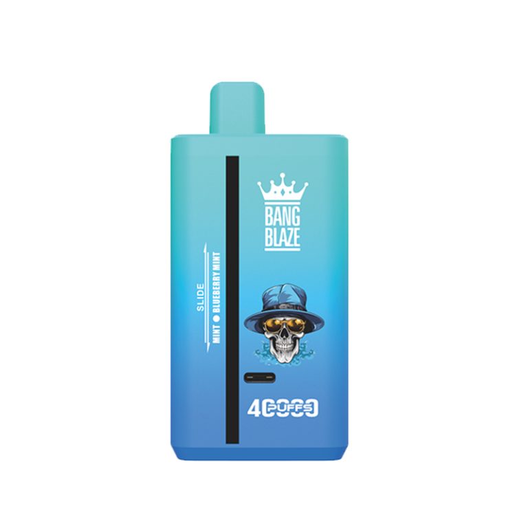 Mint & Blueberry Mint Double Gout de Puff 40000 Taff Nicotine Cigarette électronique Jetable