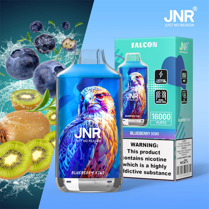Blueberry Kiwi Saveur 16K Puff JNR Cigarette électronique Rechargeable