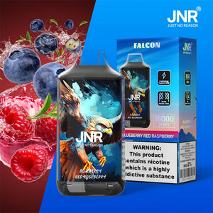16K JNR Vape Jetable Blueberry Red Raspberry Saveur with 1Ω Mesh
