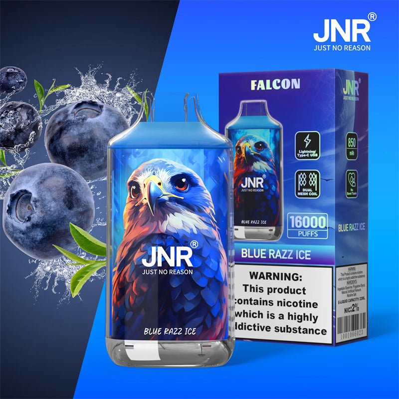 JNR 16K Cigarettes électroniques Rechargeables Blue Razz Ice Saveur