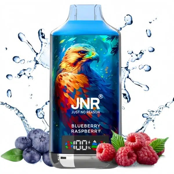 18K JNR Vape Blueberry Raspberry Saveurs Cigarette électronique 950 mAh Batterie
