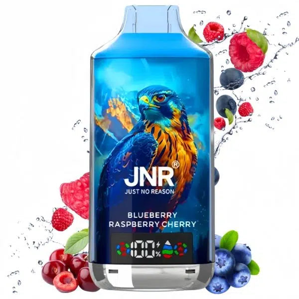 18K JNR Vape Blueberry Raspberry Cherry Saveur Cigarette électronique Rechargeable