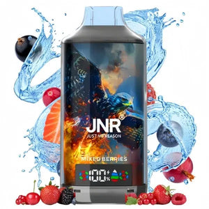 Geschmacksrichtung gemischte Beeren - Preis pro Zug 18K Puffs JNR Vape mit 18000 großen Zügen