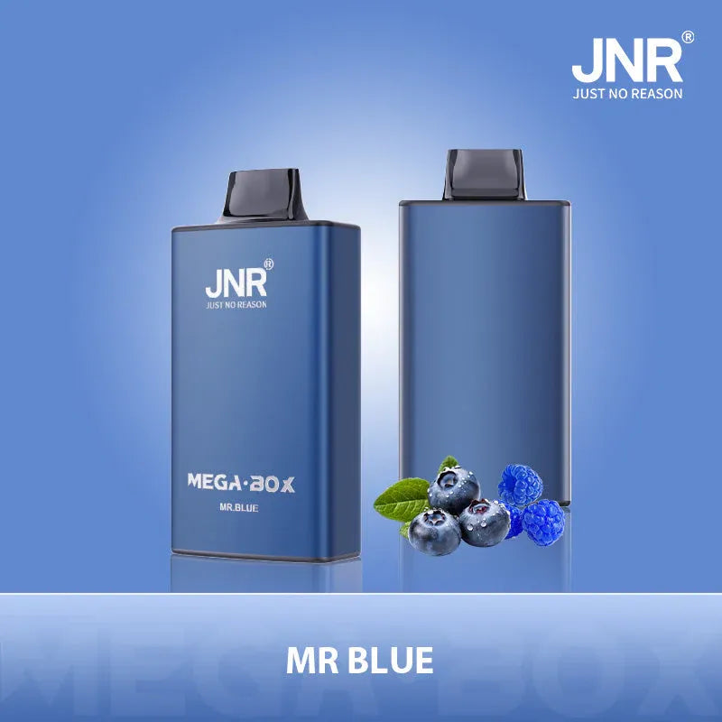 JNR Vape 25K Bouffees Mr. Blue Gout de Big Puff Prix Cigarette électronique Jetable