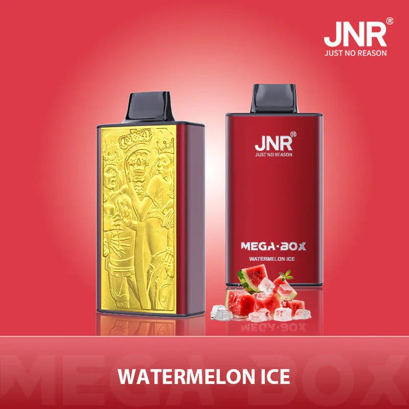 Watermelon Ice Gout - JNR Puff 25000 Bouffees Vape Jetables with Double Résistance Mesh