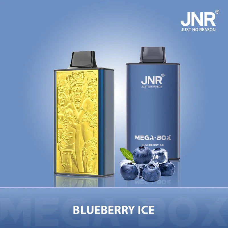 Puff 25K JNR Prix Vape Jetable Blueberry Ice Gout Cigarettes électroniques Jetables