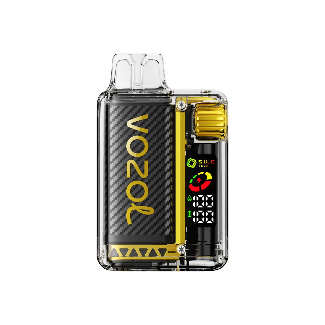 Vozol Vista 20000 Mango Ice MTL Vape