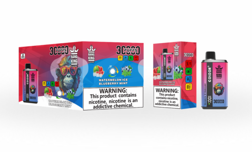 Double Saveurs - Bang King 30000 Puffs 30K Puff Cigarette électronique Jetable