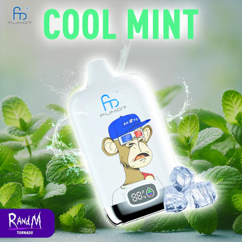Randm Vape Jetable Puff 12000 Taff with 12K Big Puffs Day - Cool Mint Gout