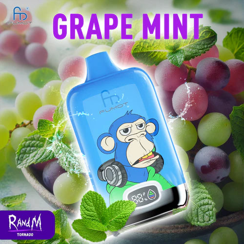 Randm 12000 Big Puffs Prix Gout Grape Mint Saveur Cigarette électronique Jetable